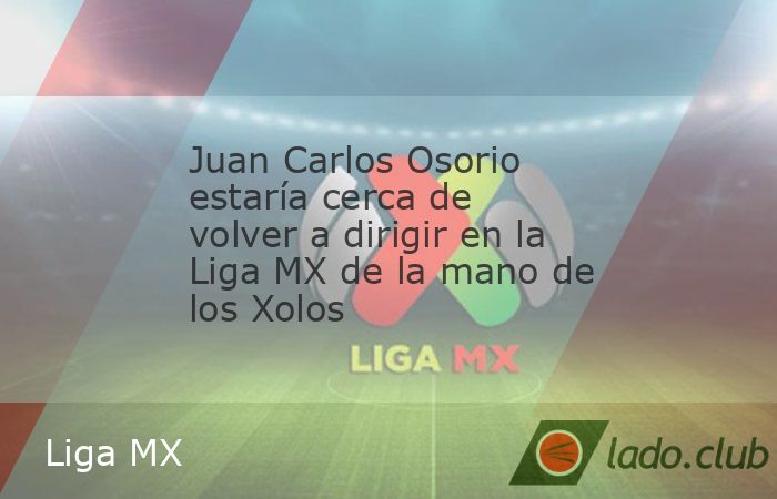 El director técnico colombiano Juan Carlos Osorio, quien estuvo al frente de la Selección de México entre 2015 y 2018, tendría negociaciones bien avanzadas para ser el sucesor de Miguel Herrera en