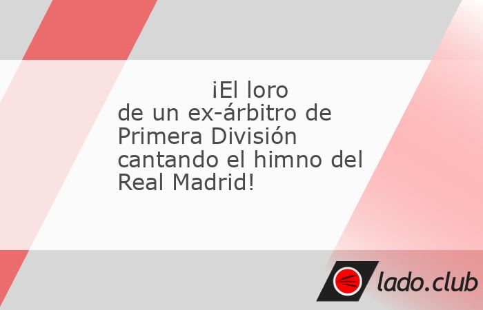 Corren tiempos de mucha suspicacia entorno al colectivo arbitral. Y, por ello, cada episodio que se da en el entorno de los colegiados, actuales o pasados, es seguido con máximo detalle. Seguir 