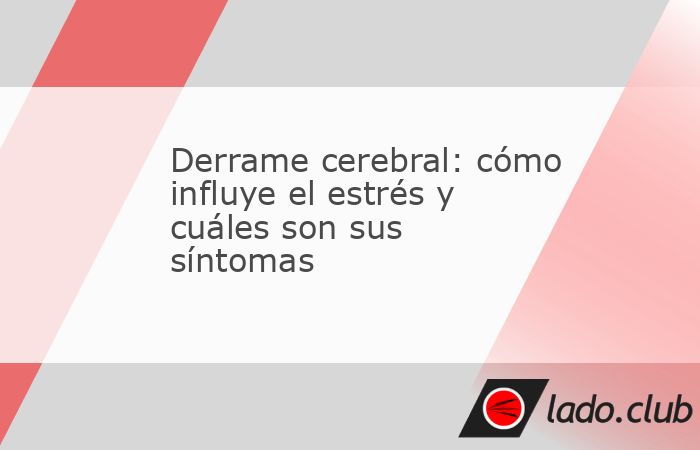 Lucha o huida: son las dos respuestas básicas ante la amenaza. La dos respuestas que permitieron a los humanos sobrevivir hasta hoy día. Sin embargo, ahora, sin un depredador claro a la vista, puede